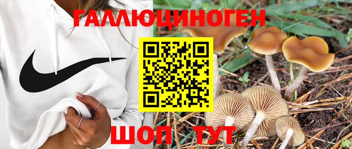 Сургут  Псилоцибиновые грибы мицелий  Вход с VPN 